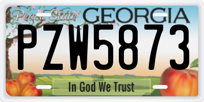 GA license plate PZW5873