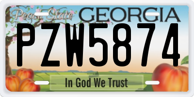 GA license plate PZW5874