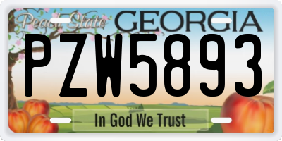 GA license plate PZW5893