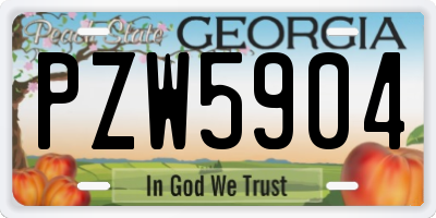 GA license plate PZW5904