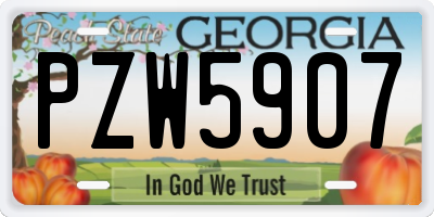 GA license plate PZW5907