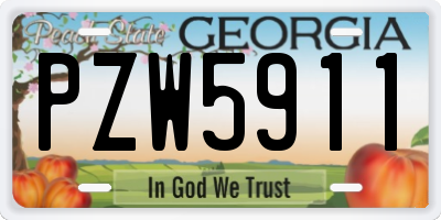 GA license plate PZW5911