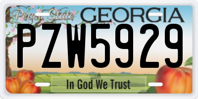 GA license plate PZW5929