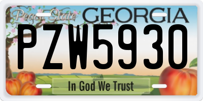 GA license plate PZW5930