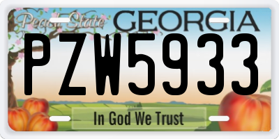 GA license plate PZW5933