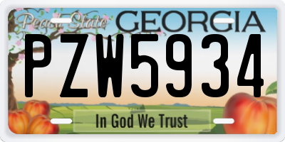 GA license plate PZW5934