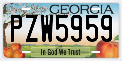 GA license plate PZW5959