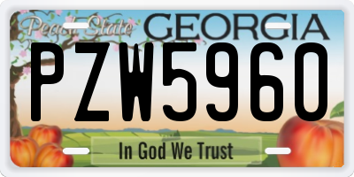 GA license plate PZW5960