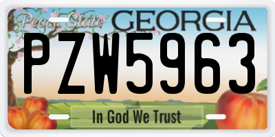 GA license plate PZW5963