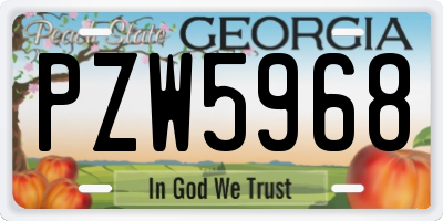 GA license plate PZW5968