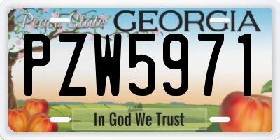 GA license plate PZW5971