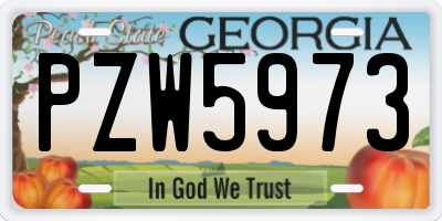 GA license plate PZW5973