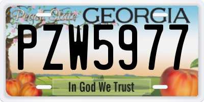 GA license plate PZW5977