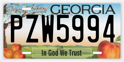 GA license plate PZW5994