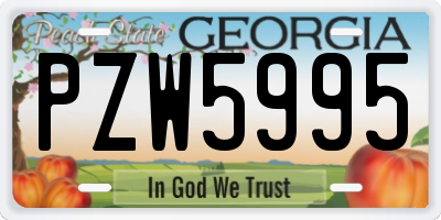 GA license plate PZW5995