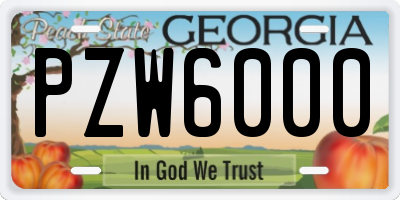 GA license plate PZW6000
