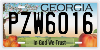 GA license plate PZW6016