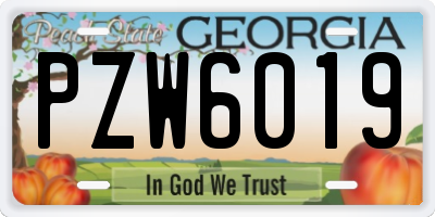 GA license plate PZW6019