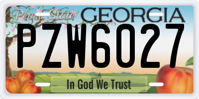 GA license plate PZW6027