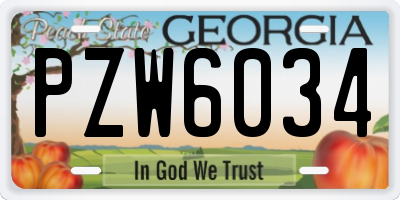 GA license plate PZW6034