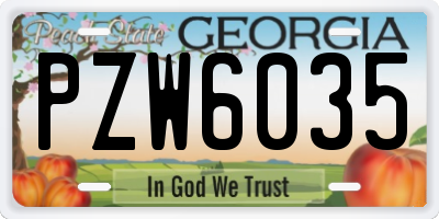 GA license plate PZW6035