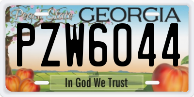 GA license plate PZW6044