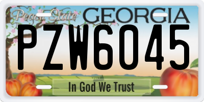 GA license plate PZW6045