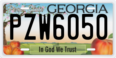 GA license plate PZW6050