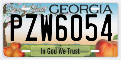 GA license plate PZW6054