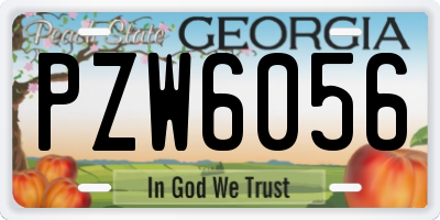 GA license plate PZW6056