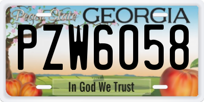 GA license plate PZW6058