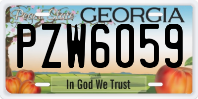 GA license plate PZW6059