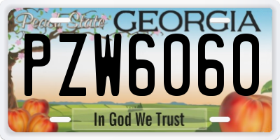 GA license plate PZW6060