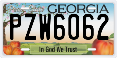 GA license plate PZW6062