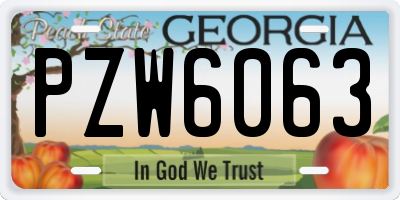 GA license plate PZW6063