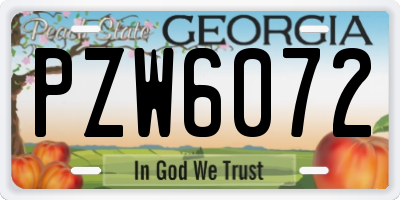 GA license plate PZW6072