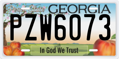 GA license plate PZW6073