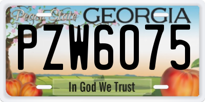 GA license plate PZW6075