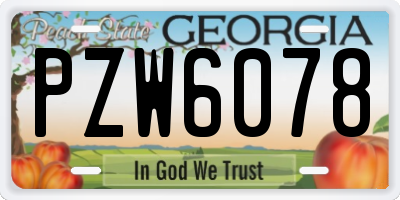 GA license plate PZW6078