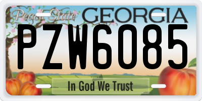 GA license plate PZW6085