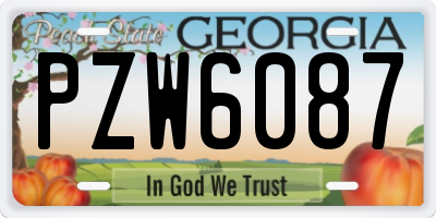 GA license plate PZW6087
