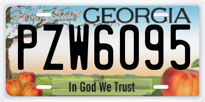 GA license plate PZW6095