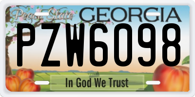 GA license plate PZW6098