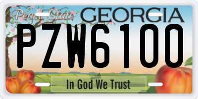 GA license plate PZW6100
