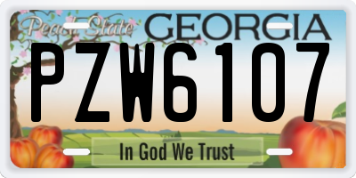 GA license plate PZW6107