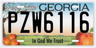 GA license plate PZW6116