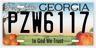 GA license plate PZW6117
