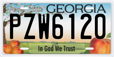 GA license plate PZW6120