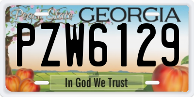 GA license plate PZW6129