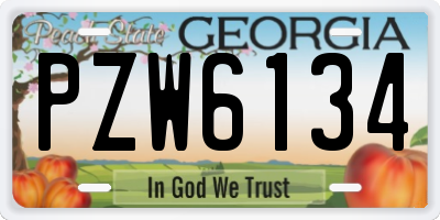 GA license plate PZW6134